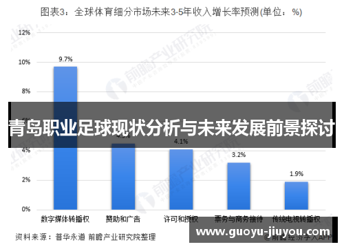 青岛职业足球现状分析与未来发展前景探讨