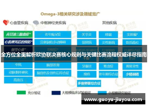 全方位全面解析欧协联决赛核心规则与关键比赛流程权威详尽指南
