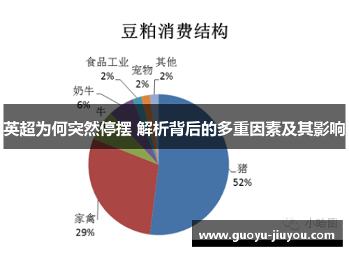 英超为何突然停摆 解析背后的多重因素及其影响