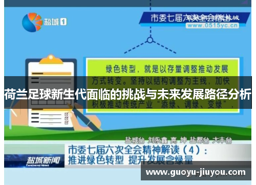 荷兰足球新生代面临的挑战与未来发展路径分析