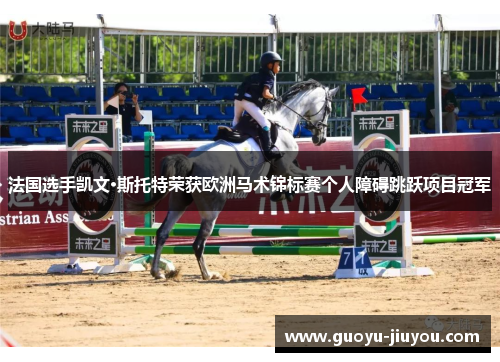 法国选手凯文·斯托特荣获欧洲马术锦标赛个人障碍跳跃项目冠军